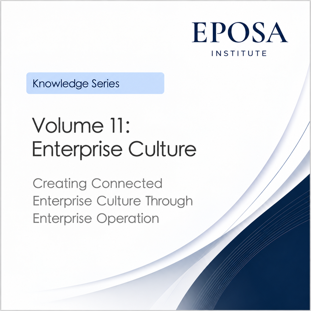 Volume 11 Enterprise Culture