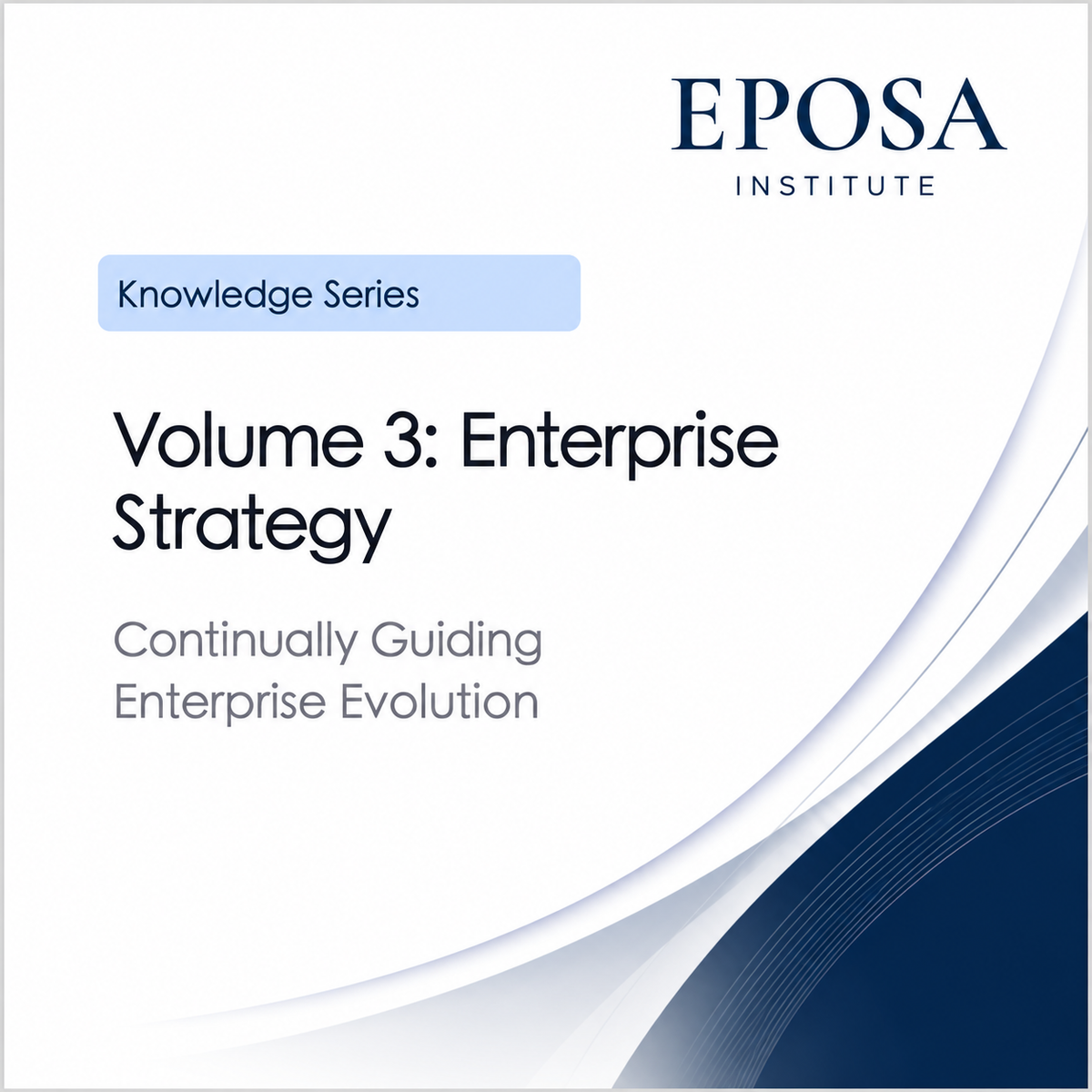 Volume 3 Enterprise Strategy