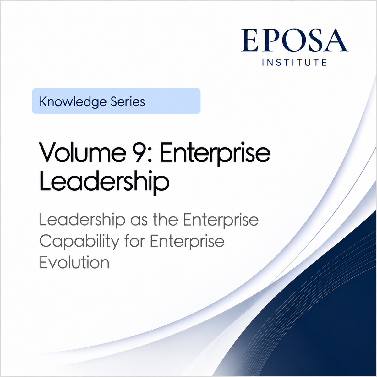 Volume 9 Enterprise Leadership